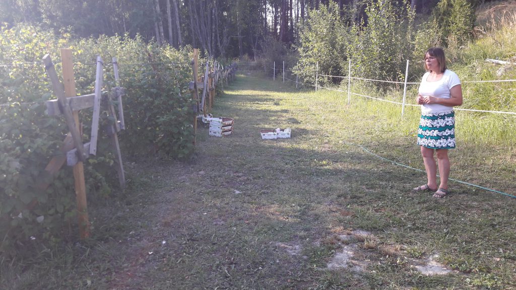 Lea esittelemässä vadelmalohkoa